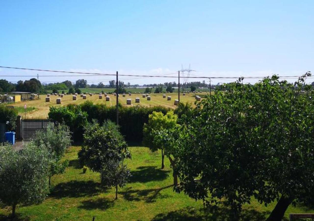Eco House San Michele Hostel Borgo San Michele  Exterior photo